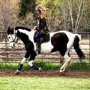 Meet your Posher, Whitney